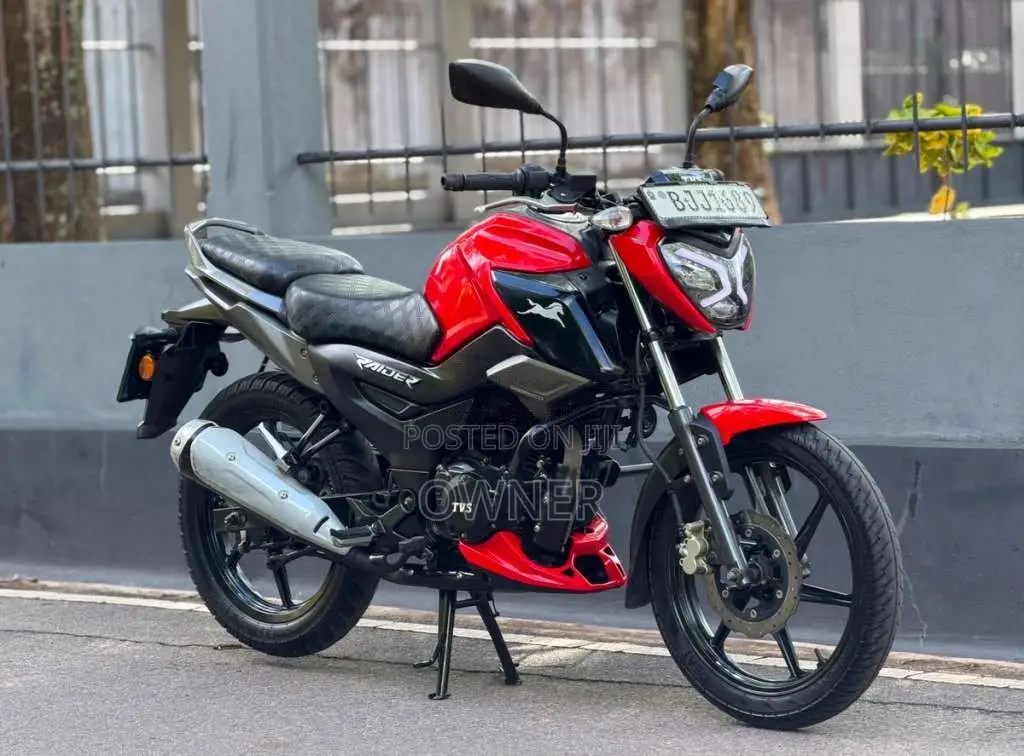 TVS Raider 125 2024 Motorbike (Used)