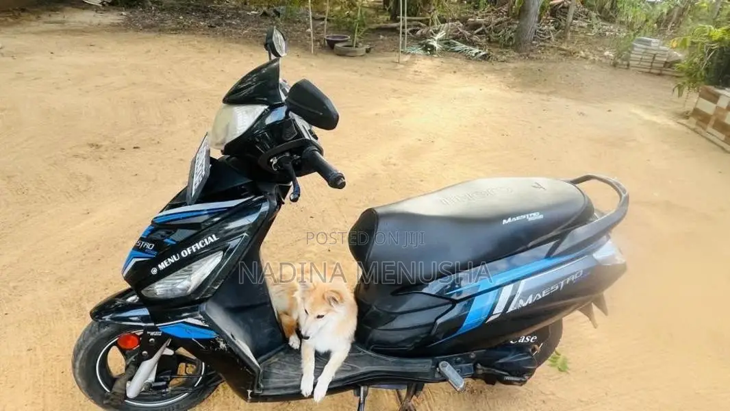 Hero Maestro Edge 2019 Motorbike (Used)