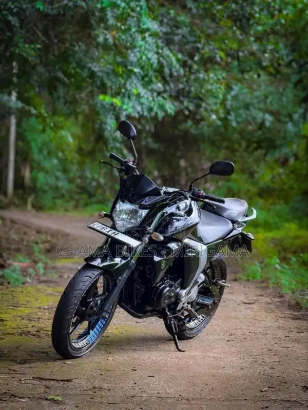 Yamaha Fz Version 2.0 2019 Motorbike (Used)