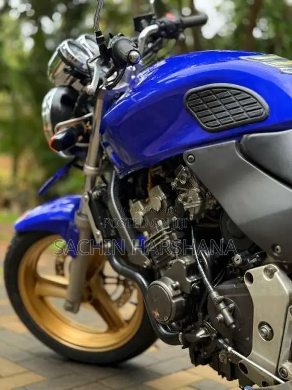 Honda Hornet 2023 Motorbike (Used)