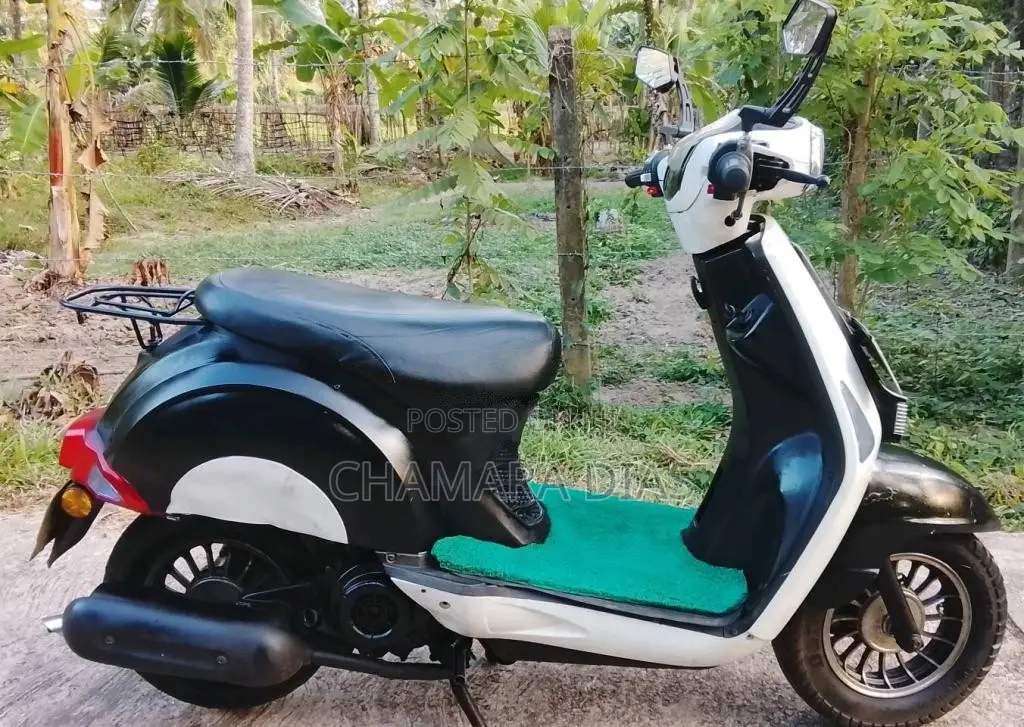Demak Rio 2012 Motorbike (Used)