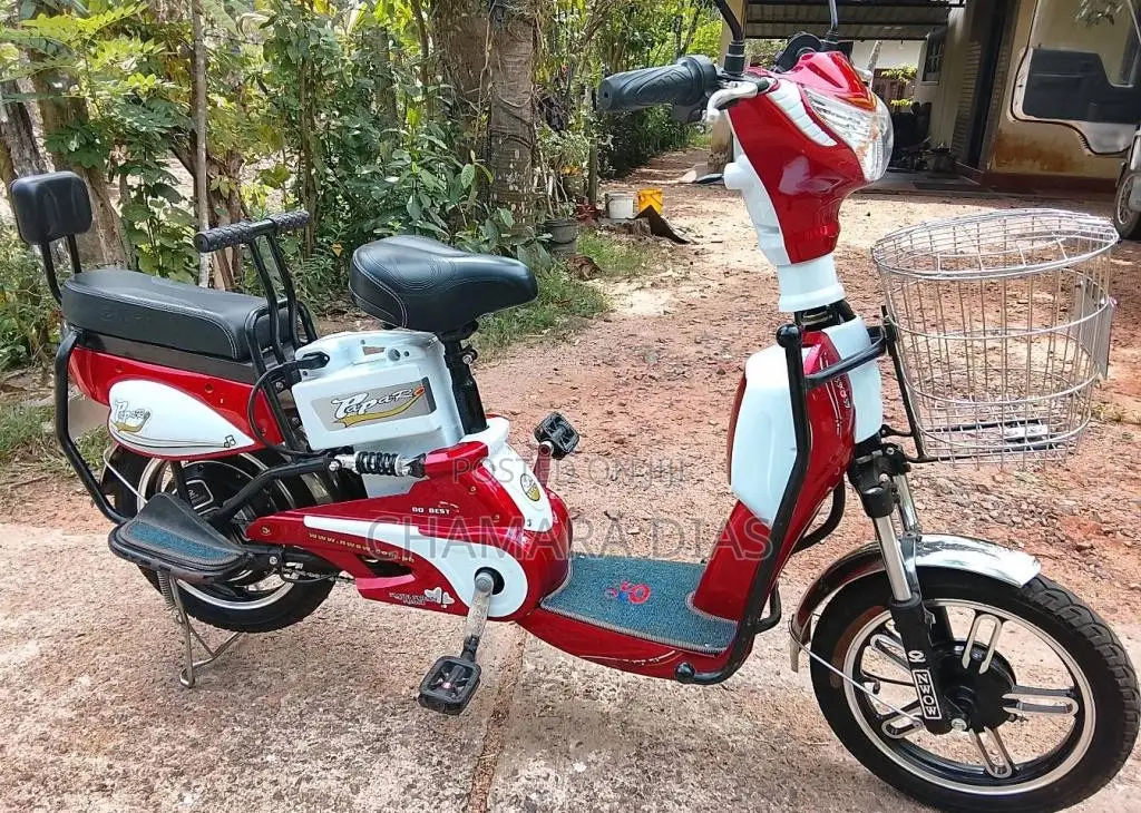NWOW Papa R 2025 Motorbike Brand New