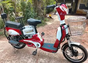 NWOW Papa R 2025 Motorbike Brand New