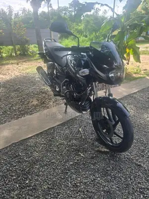 Bajaj Pulsar 150 2020 Motorbike (Used)