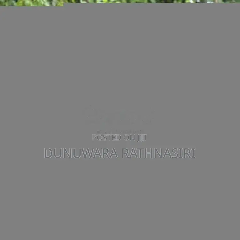 TVS Scooty Streak 2011 Motorbike (Used)