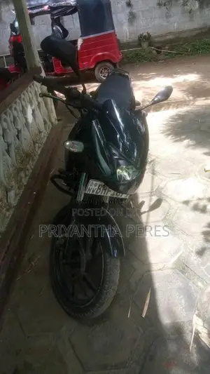 Bajaj Pulsar 2019 Motorbike (Used)