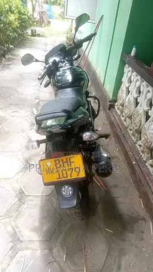 Bajaj Pulsar 2019 Motorbike (Used)
