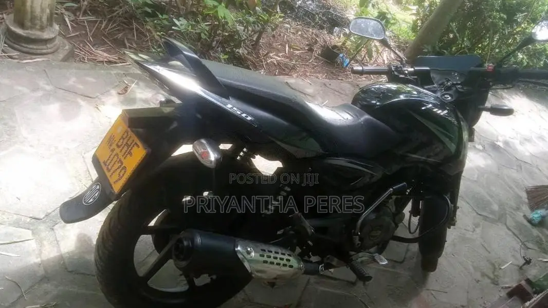 Bajaj Pulsar 2019 Motorbike (Used)