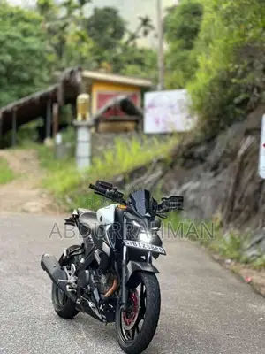 Yamaha MT-15 2019 Motorbike (Used)