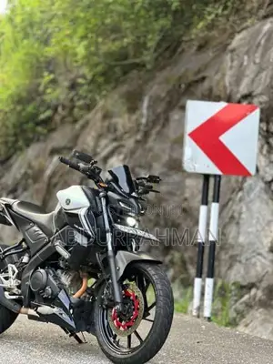 Yamaha MT-15 2019 Motorbike (Used)