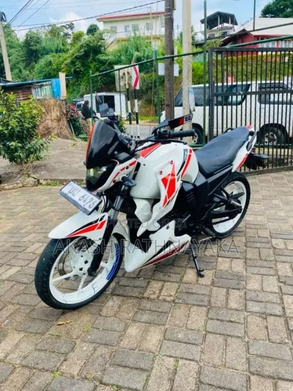 Yamaha FZ 2009 motorcycle (Used)