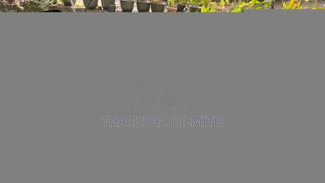 TVS Flame 2010 Motorbike (Used)