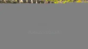 TVS Flame 2010 Motorbike (Used)