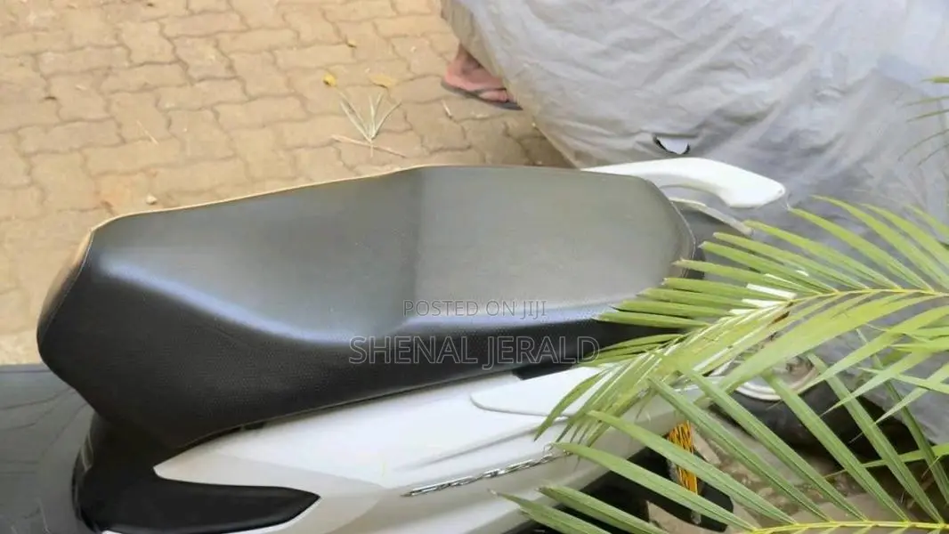 Honda Grazia 2019 Motorbike (Used)