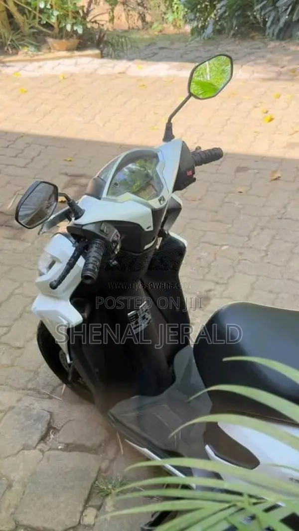 Honda Grazia 2019 Motorbike (Used)
