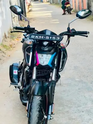 Yamaha Fzv4 2025 Motorbike (Used)