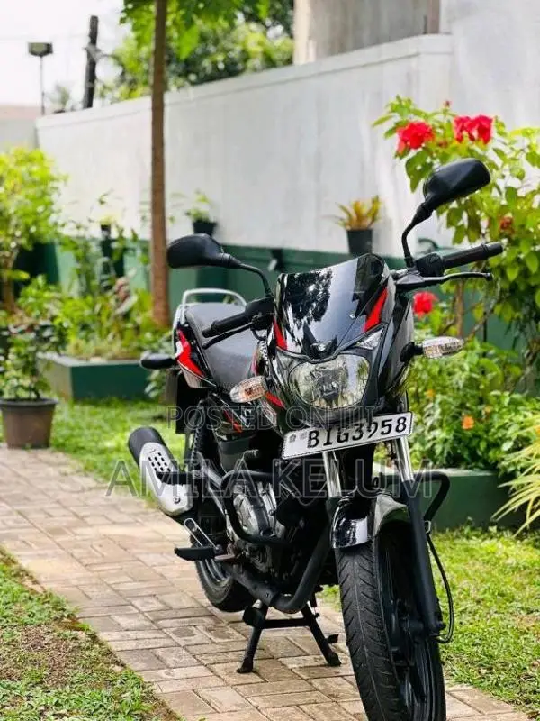 Bajaj Pulsar 150 2019 Motorbike (Used)