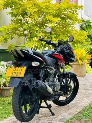 Bajaj Pulsar 150 2019 Motorbike (Used)