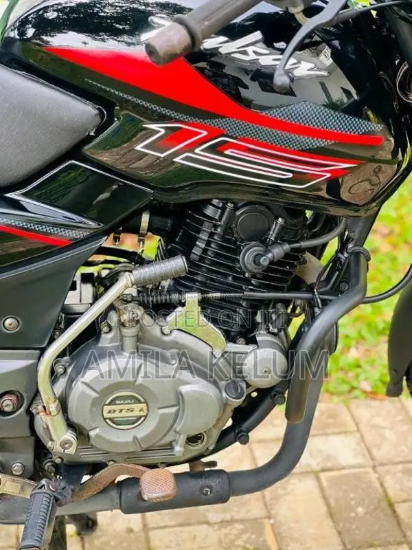 Bajaj Pulsar 150 2019 Motorbike (Used)
