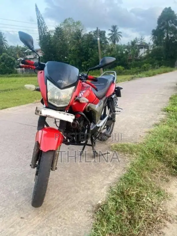 Hero-Honda Hunk 2008 Motorbike (Used)