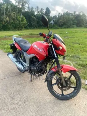 Hero-Honda Hunk 2008 Motorbike (Used)