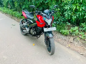 Bajaj Pulsar NS150 2016 Motorbike (Used)