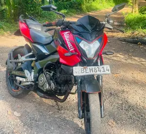 Bajaj Pulsar NS150 2016 Motorbike (Used)