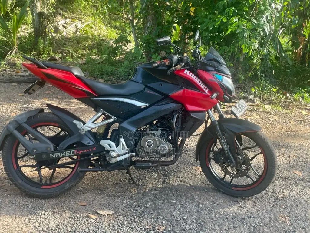 Bajaj Pulsar NS150 2016 Motorbike (Used)