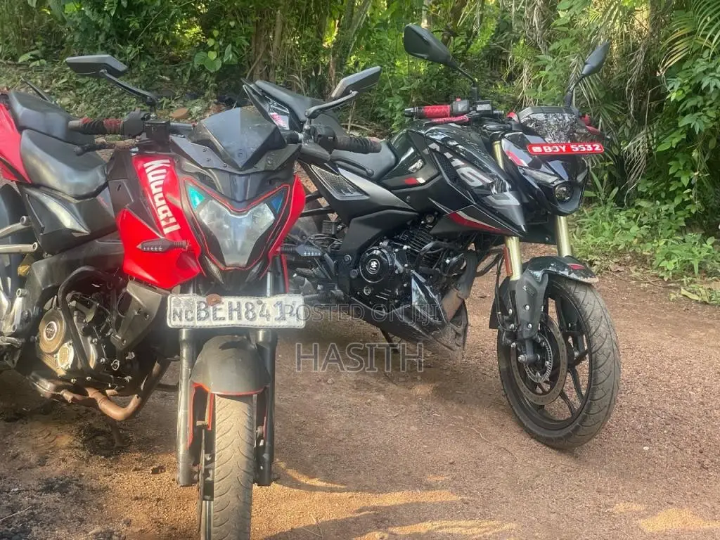 Bajaj Pulsar NS150 2016 Motorbike (Used)