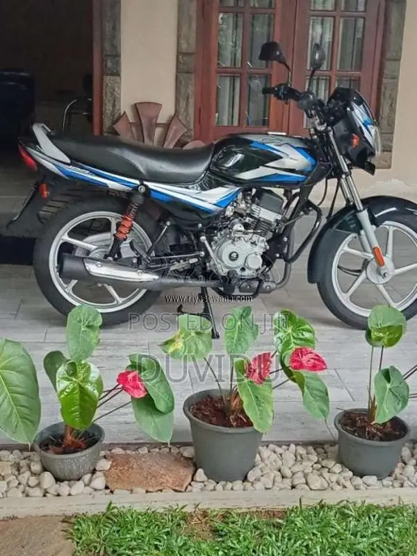 Bajaj CT-100 2025 Motorbike (Used)