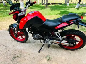 Demak DTM 2022 Motorbike (Used)