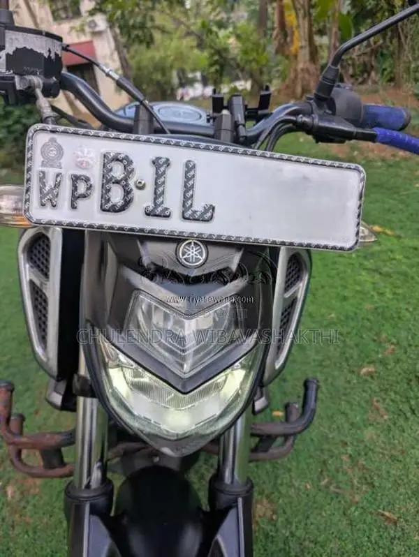 Yamaha FZ-S 2019 Motorbike (Used)