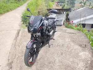 Bajaj Pulsar 150 2010 Motorbike (Used)