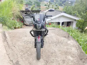 Bajaj Pulsar 150 2010 Motorbike (Used)