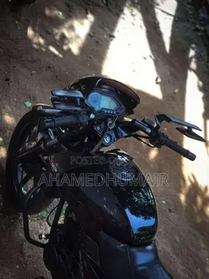 Bajaj Pulsar 150 2009 motorcycle (Used)