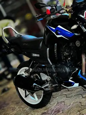 Yamaha FZ 2009 Motorbike (Used)