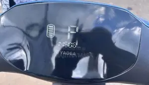Yadea Ruibin 2024 Motorbike (Used)
