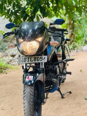 Bajaj Pulsar 150 2019 Motorbike (Used)
