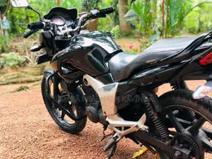 Hero Hunk 2009 Motorbike (Used)