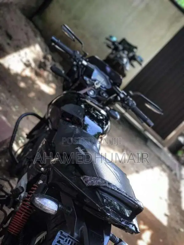 Bajaj Pulsar 150 2009 motorcycle (Used)