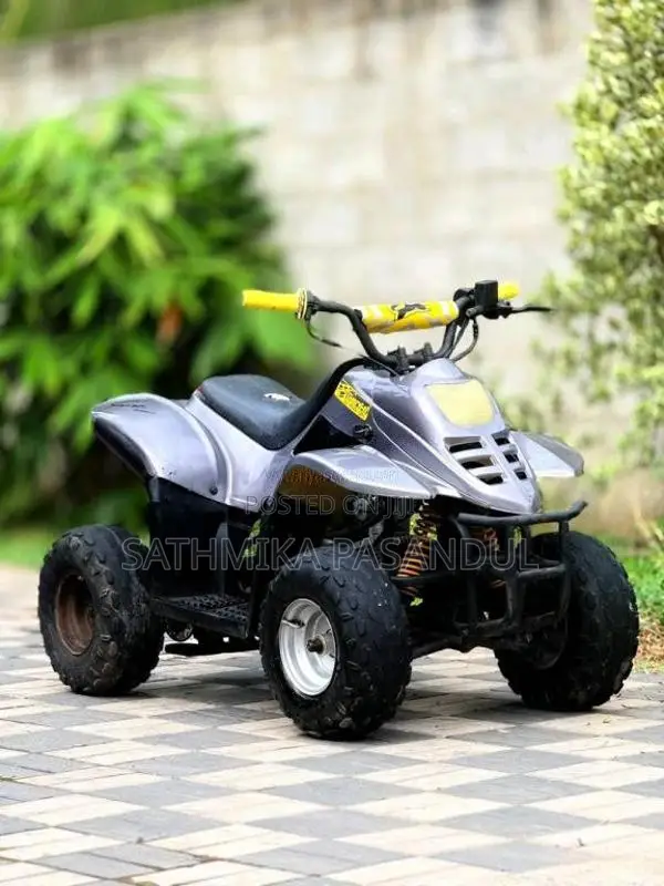 Honda Atv Beach 2018 Motorbike Unregistered (Recondition)