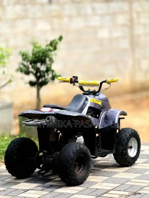Honda Atv Beach 2018 Motorbike Unregistered (Recondition)