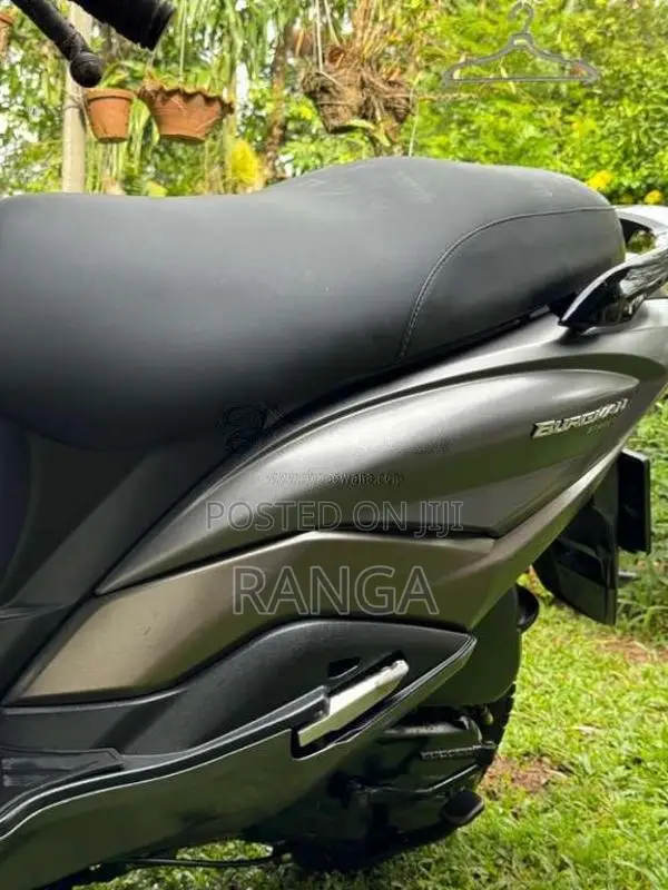 Suzuki BURGMAN 2019 Motorbike (Used)