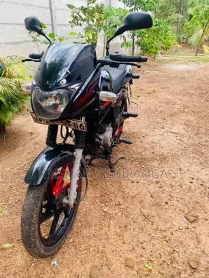 Bajaj Pulsar 150 2009 motorcycle (Used)