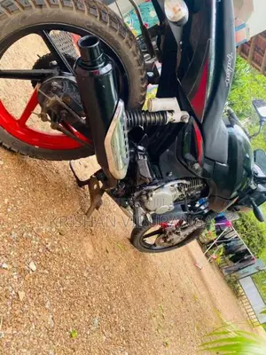 Bajaj Pulsar 150 2009 motorcycle (Used)