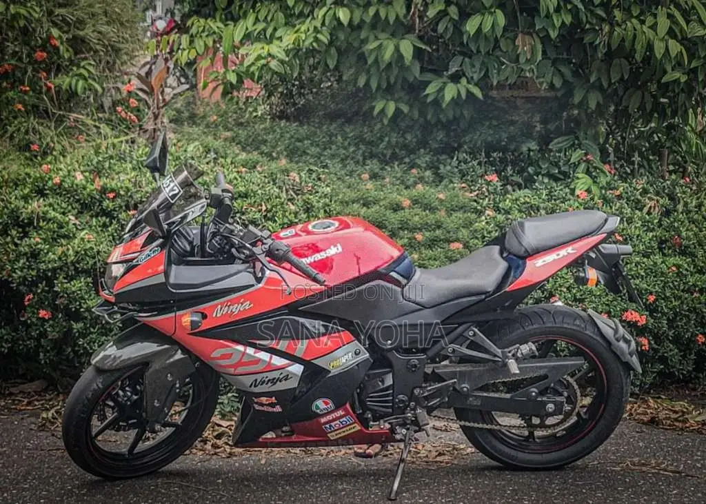 Kawasaki Ninja 250 R 2009 Motorbike (Used)