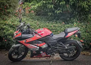 Kawasaki Ninja 250 R 2009 Motorbike (Used)