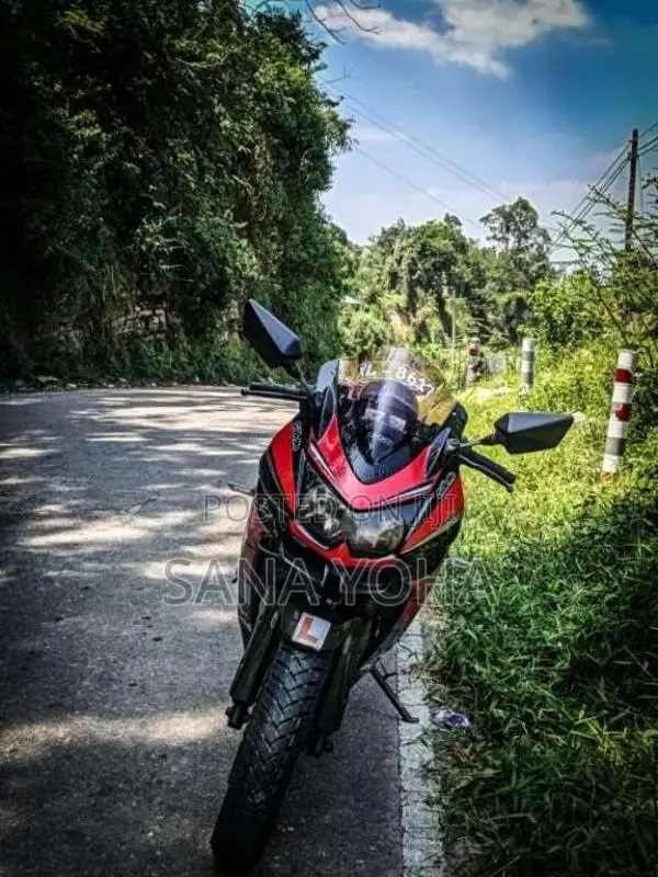 Kawasaki Ninja 250 R 2009 Motorbike (Used)
