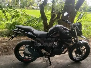 Yamaha FZ Version 3.0 2019 Motorbike (Used)
