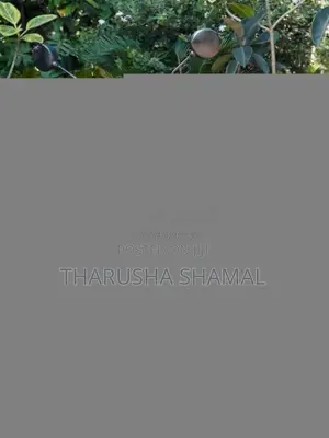 Bajaj Boxer 2004 Motorbike (Used)